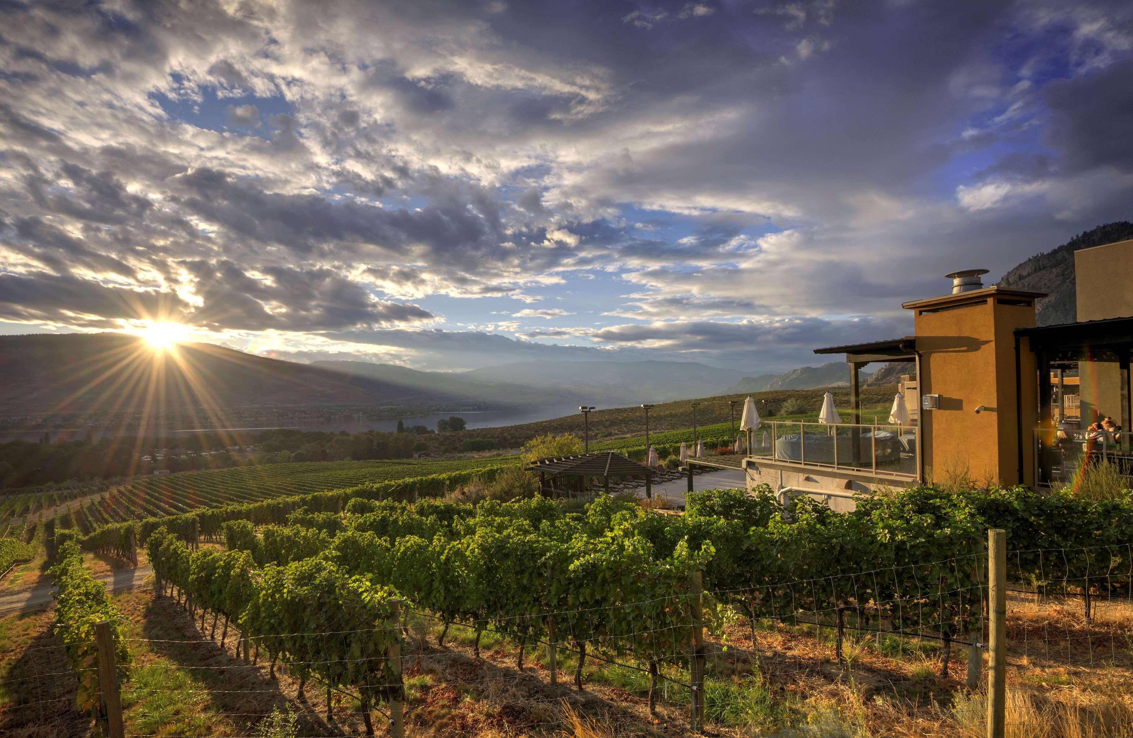 Spirit Ridge, In The Unbound Collection By Hyatt Osoyoos Exterior foto